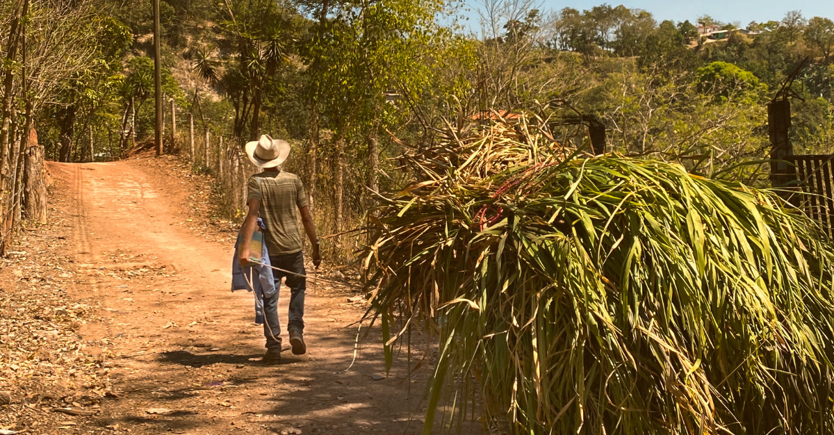 How to care Natural Fibers & Leather: Embrace the Art of Woven Craft