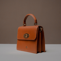 Slightly Side View of Brown Nelda Bag elegant leather handbag with detachable shoulder strap on a neutral background