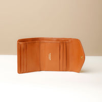 Open view of brown Danilo’s compact Anahí Wallet with card slots