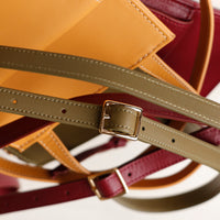 Close-up of leather straps with buckles on a white background