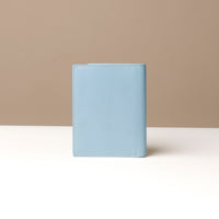 Light blue wallet on a neutral background